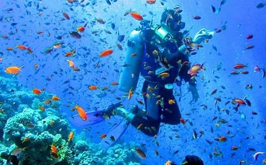 上班一天“电量”不足？坐上芝华仕头等舱沙发即刻满血复活！